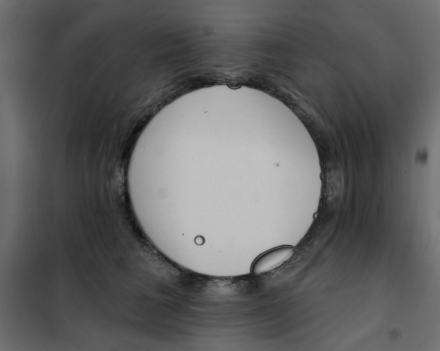 X0000102000613200808081702