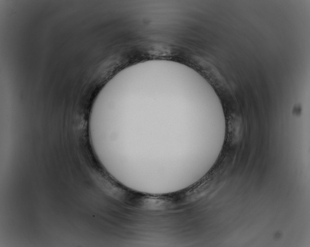 X0000102000614200808081702