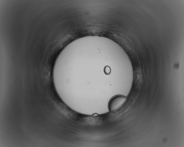 X0000102000615200808081702