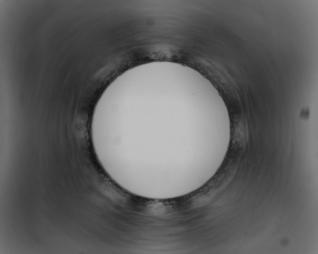 X0000102000616200808081702