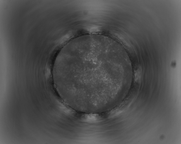 X0000102000618200808081702