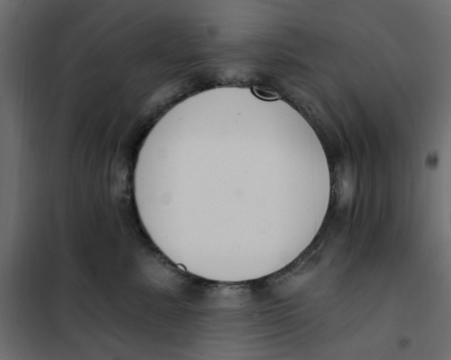 X0000102000619200808081702