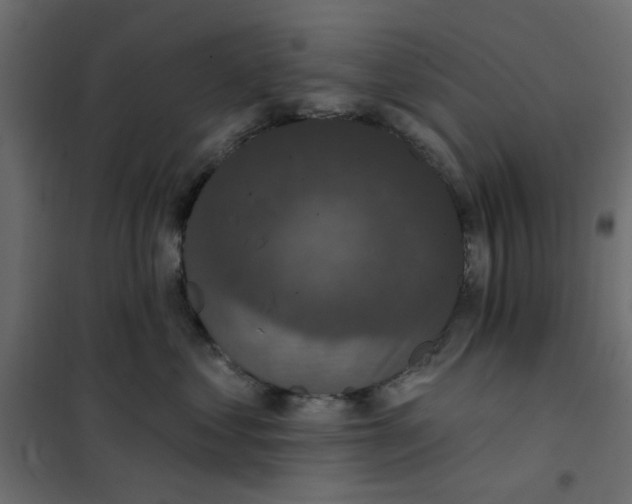 X0000102000621200808081702