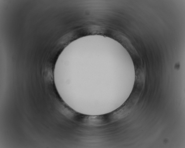 X0000102000622200808081702