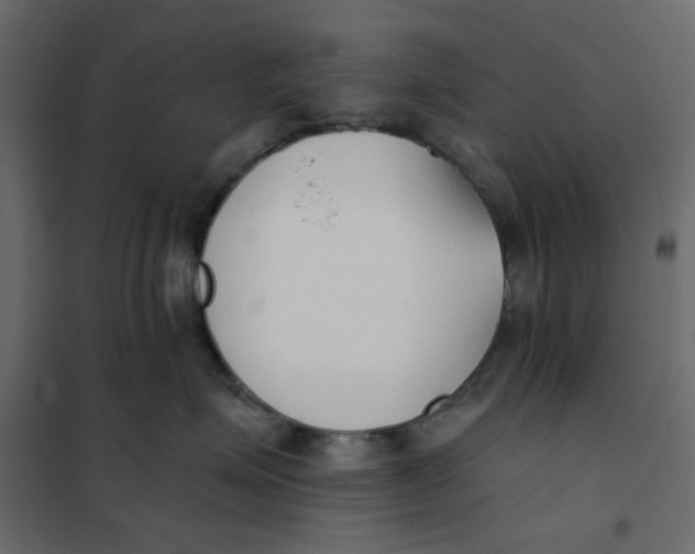 X0000102000623200808081702