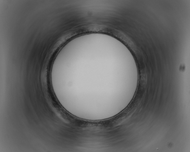 X0000102000626200808081701