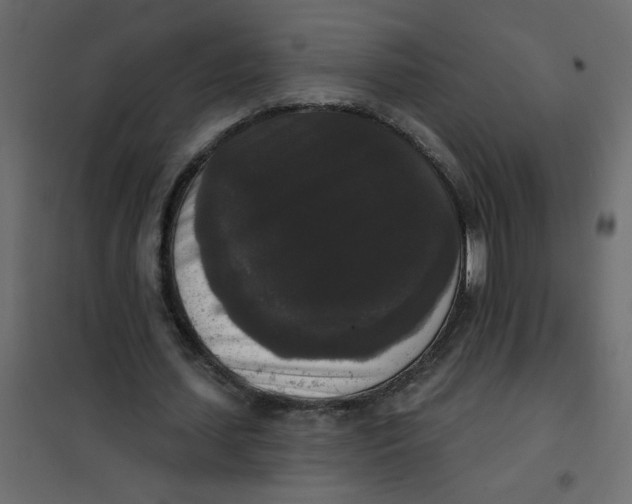 X0000102000627200808081701