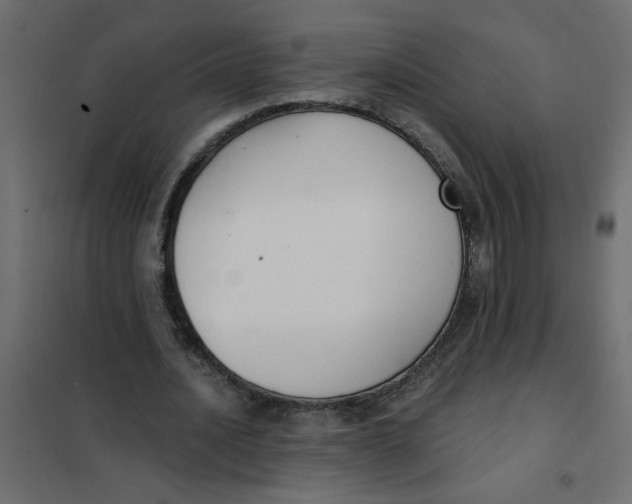 X0000102000628200808081701