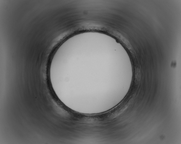 X0000102000629200808081701