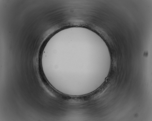 X0000102000630200808081701