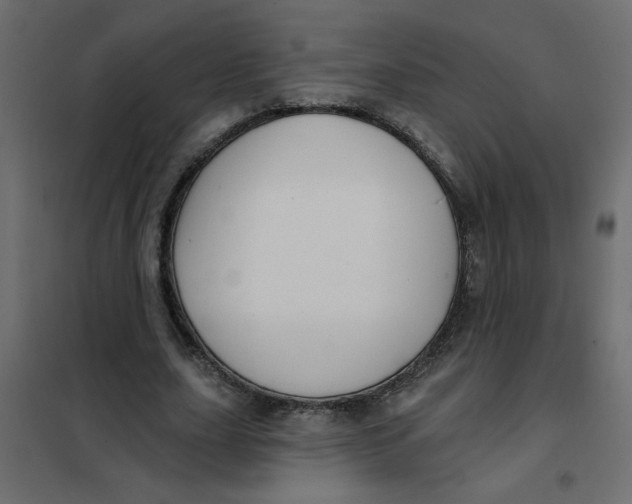 X0000102000631200808081701