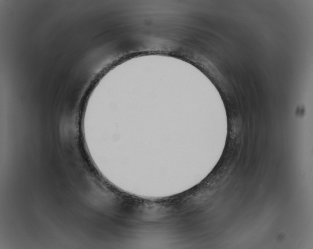 X0000102000632200808081701