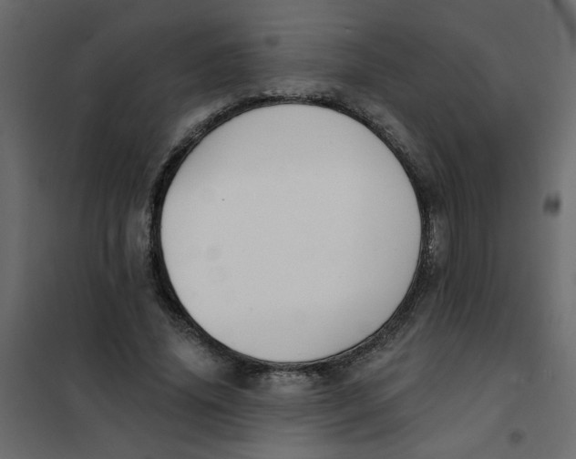 X0000102000636200808081701