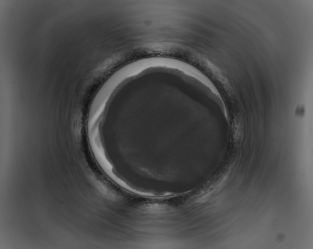 X0000102000637200808081701