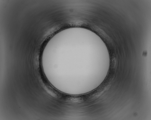 X0000102000638200808081701