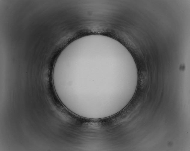 X0000102000639200808081701