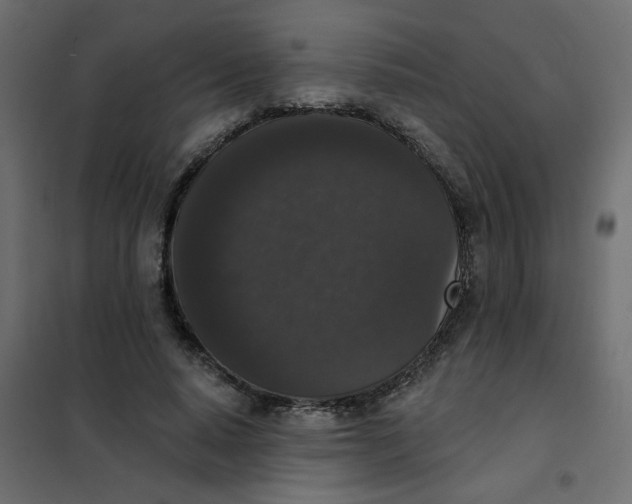 X0000102000640200808081701