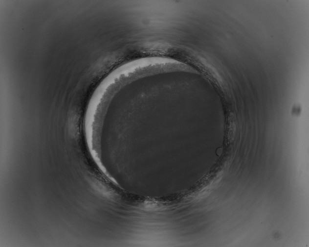 X0000102000641200808081701