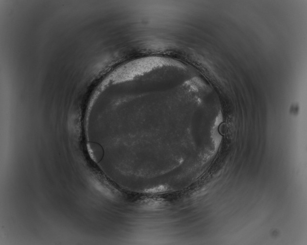 X0000102000642200808081701