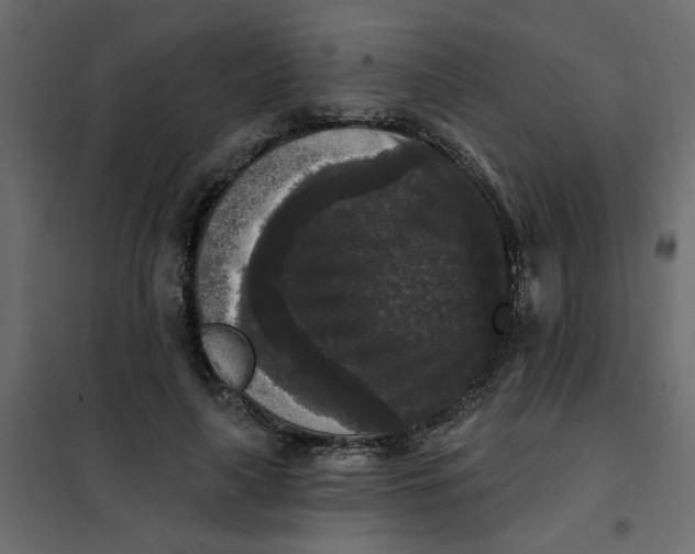 X0000102000643200808081701