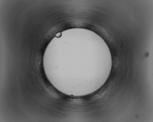 X0000102000645200808081701