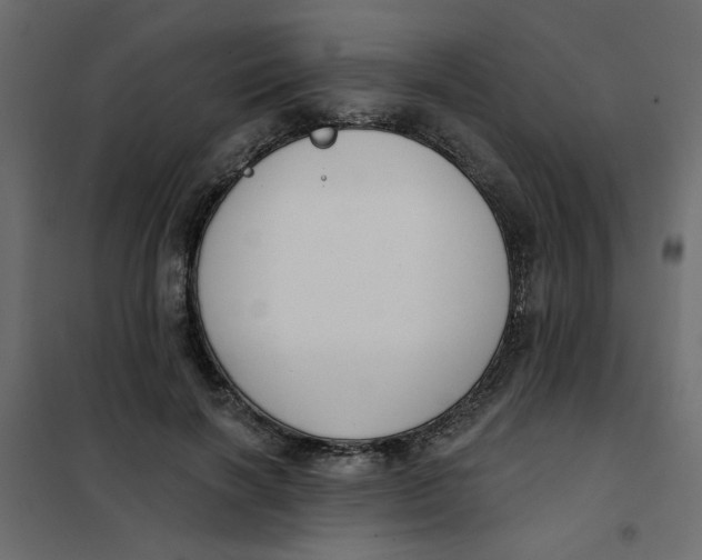 X0000102000646200808081701