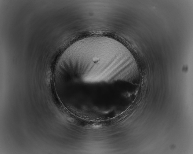 X0000102000647200808081701