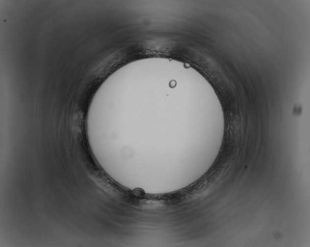 X0000102000649200808081701