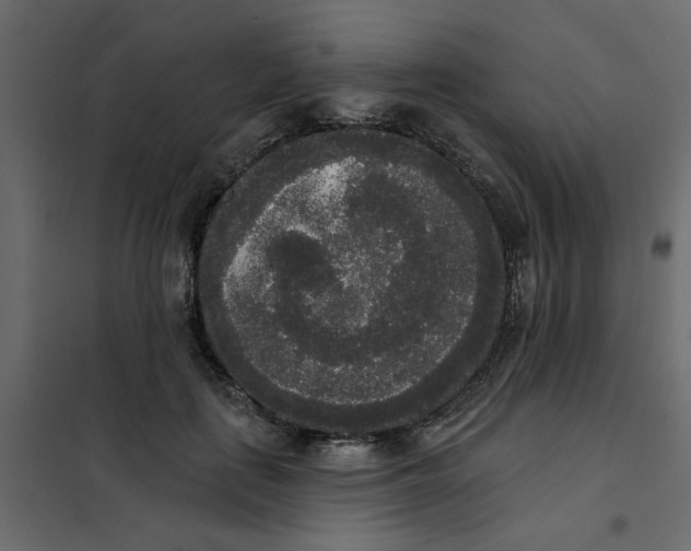 X0000102000651200808081701