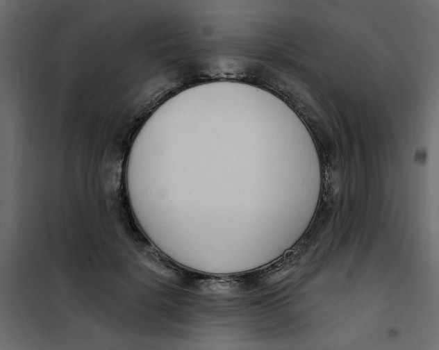 X0000102000652200808081701