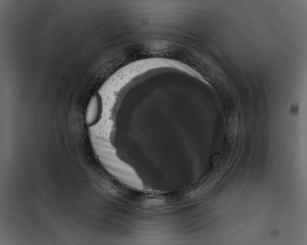 X0000102000653200808081701