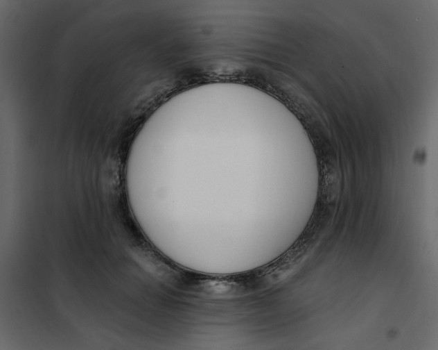 X0000102000654200808081701