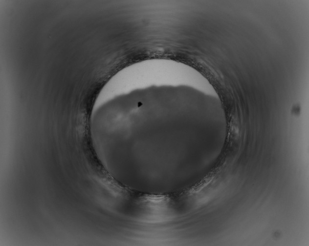 X0000102000659200808081701