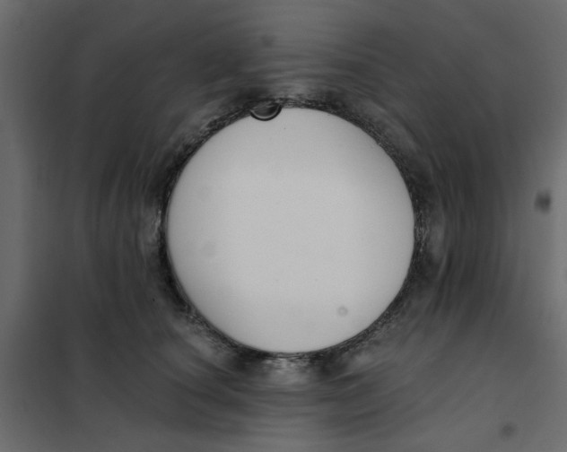 X0000102000660200808081701