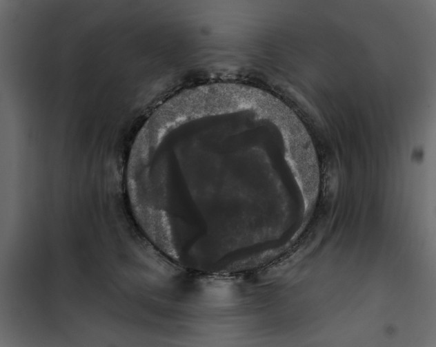 X0000102000661200808081701