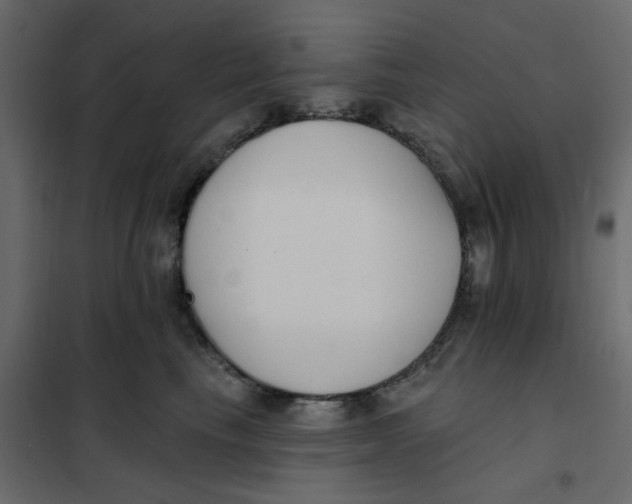 X0000102000665200808081701