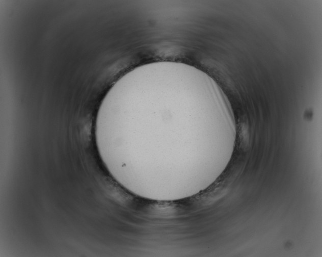 X0000102000668200808081701