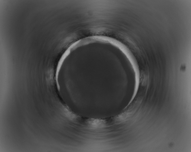 X0000102000670200808081702