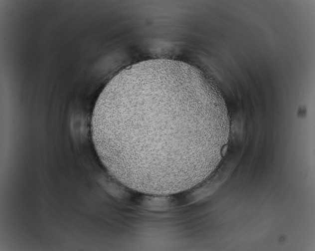 X0000102000671200808081702