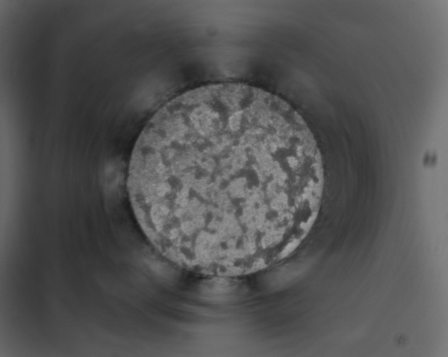 X0000102000672200808081702