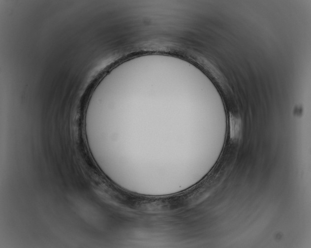 X0000102000675200808081701