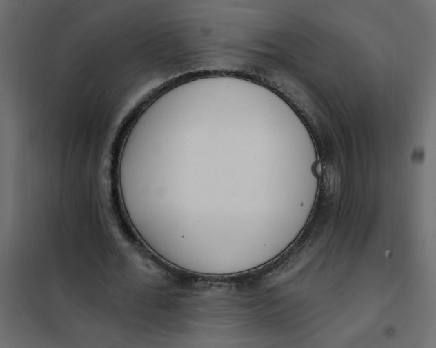 X0000102000676200808081701