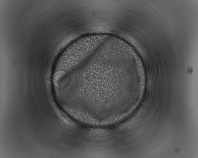 X0000102000677200808081701