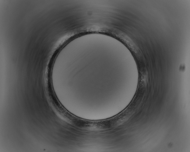 X0000102000678200808081701