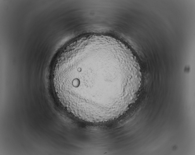 X0000102000679200808081701