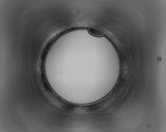 X0000102000680200808081701