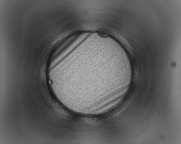 X0000102000681200808081701