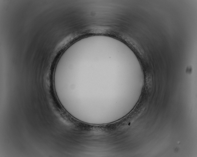 X0000102000682200808081701