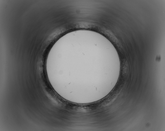 X0000102000683200808081701