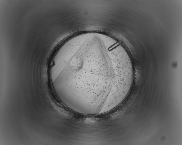 X0000102000684200808081700